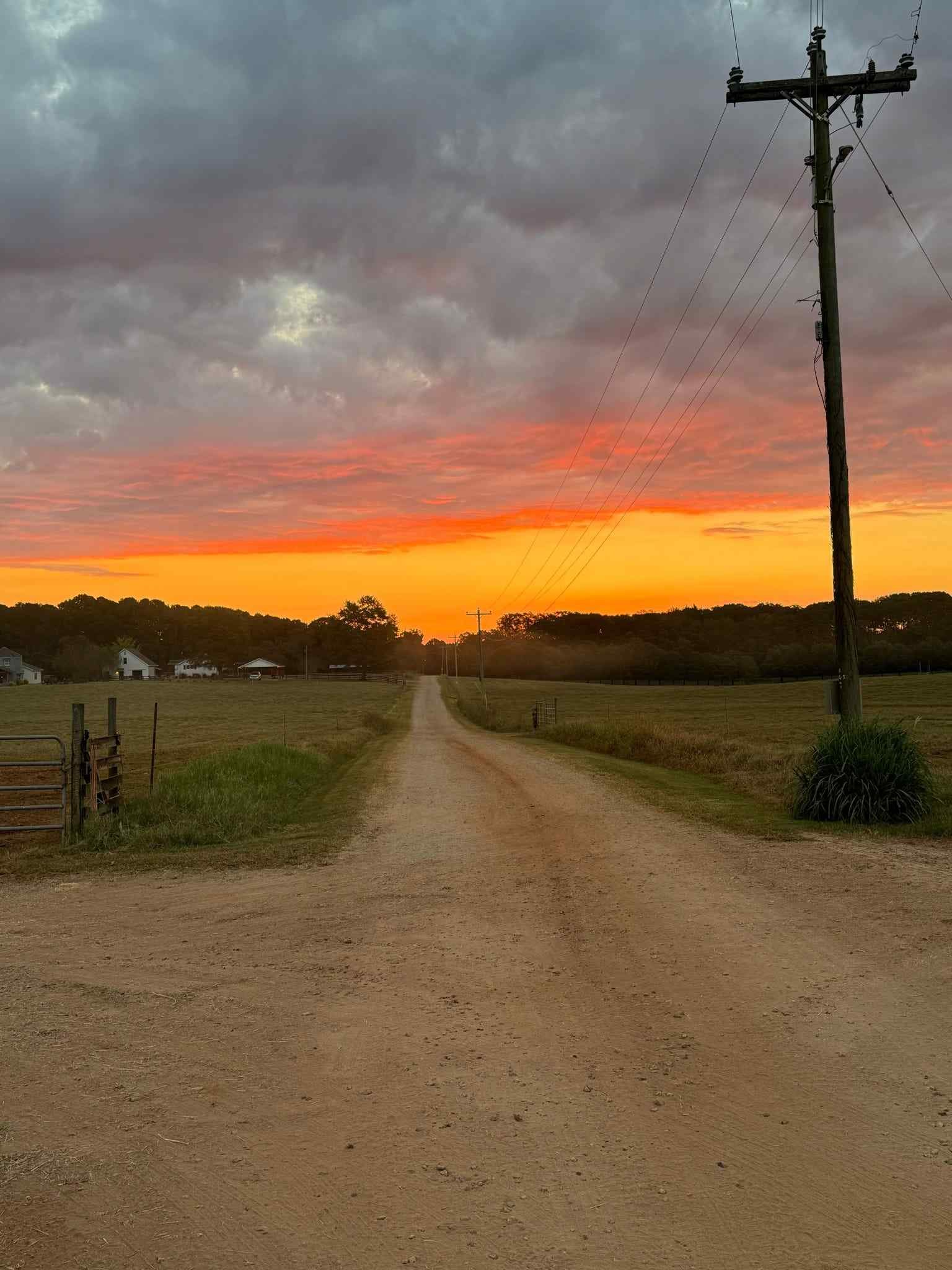 20251018_074203-d100