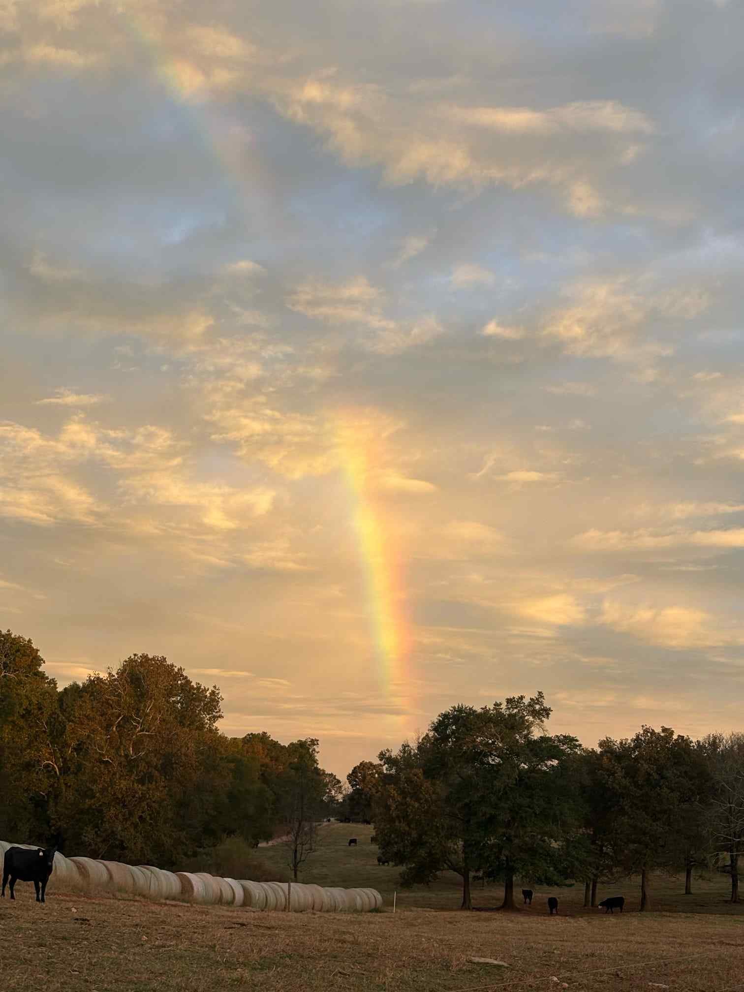 20251019_145614-ab34